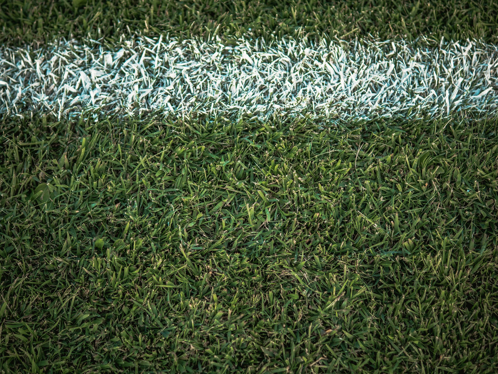 Il sogno di uno stadio di calcio sta diventando realtà (con Sean Mann, Detroit City FC)